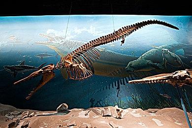 EA下一代《战地》或有更好的破坏效果