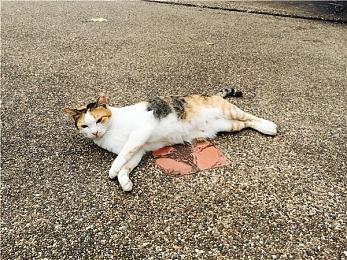 前PS高管痛批Game Pass：让开发商变成工资奴隶